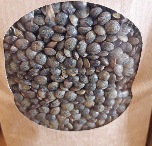 BIO semená na klíčenie a mikrozeleninu Šošovica 500 g